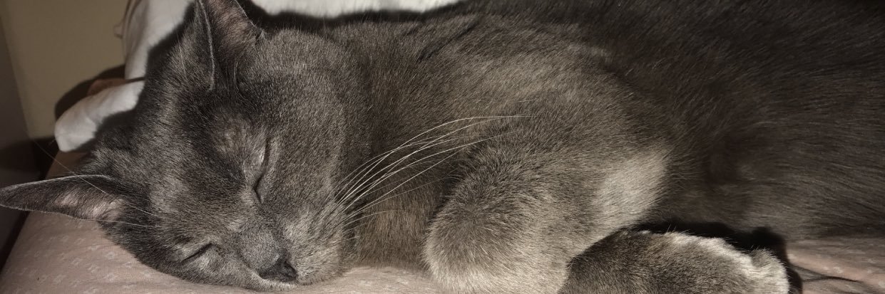 samisavino_'s profile banner image