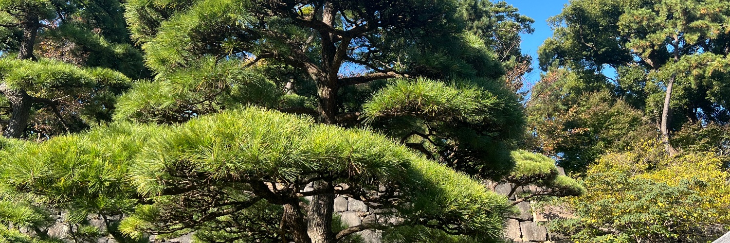 bendiek's profile banner image
