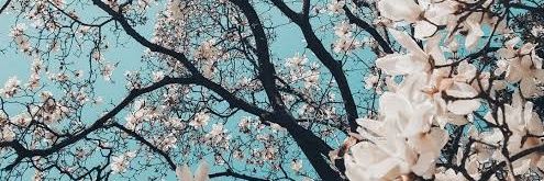 Kar_LoveU's profile banner image