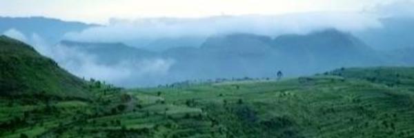 alajife Profile Banner