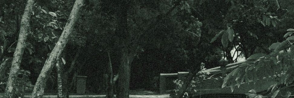 cyamorale's profile banner image