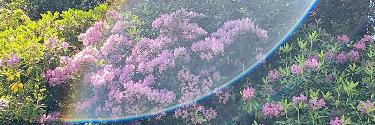 acunxos's profile banner image