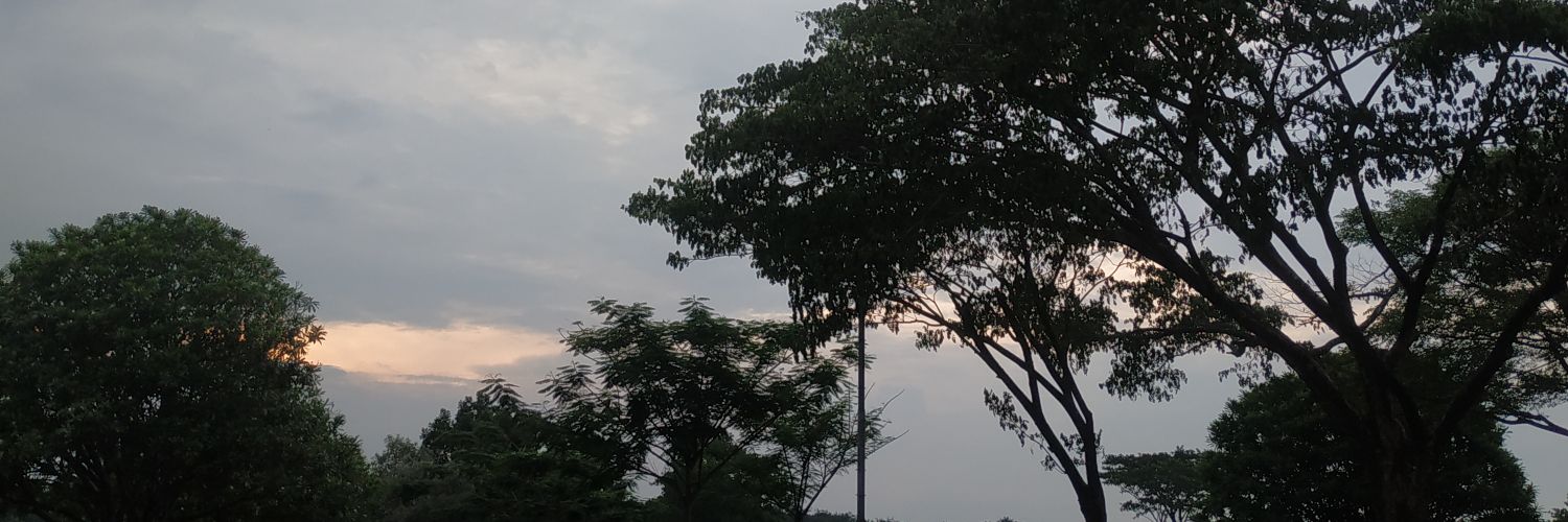 angsheilaa's profile banner image