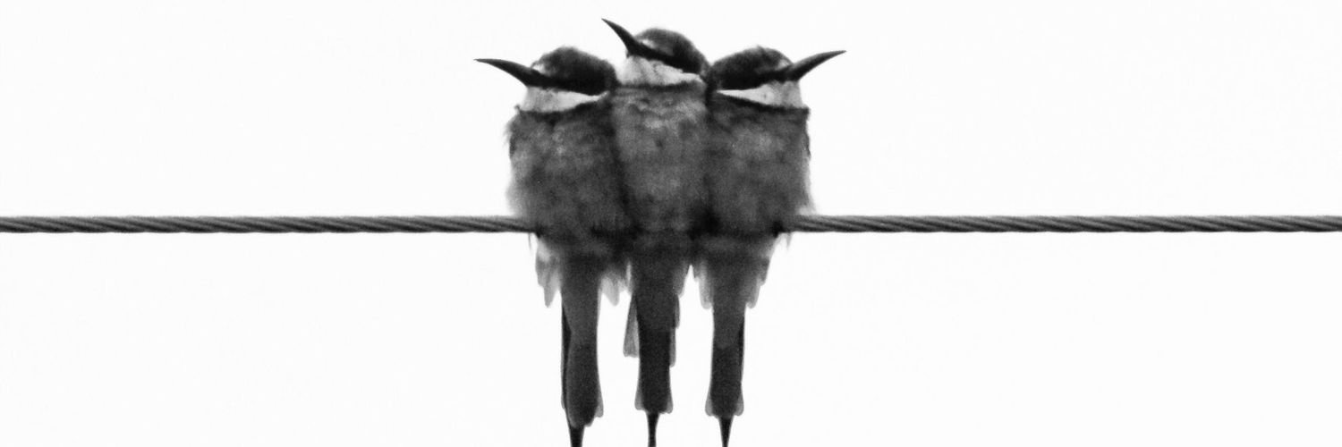 Pasheh's profile banner image