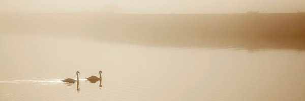 NigelHicksPhoto Profile Banner