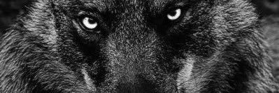 2635_q's profile banner image
