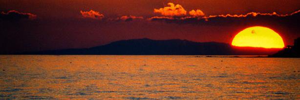 shaka_ma's profile banner image