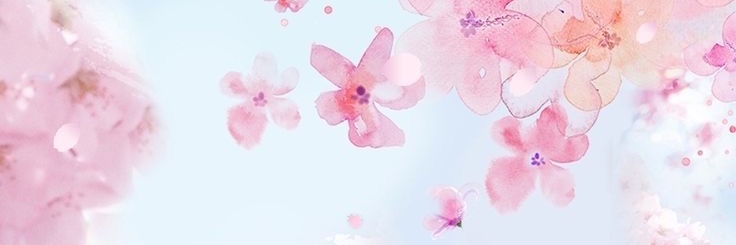 Sky04Yui's profile banner image
