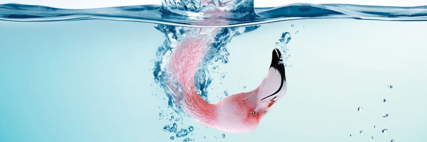 JagerChicky's profile banner image