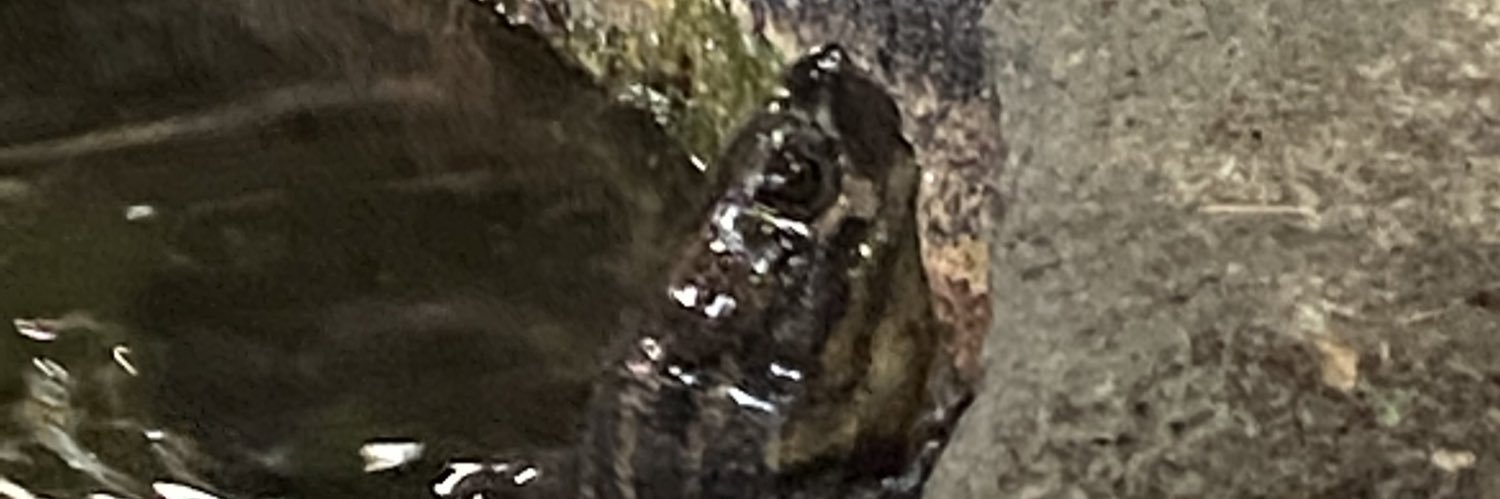 joyce4man's profile banner image