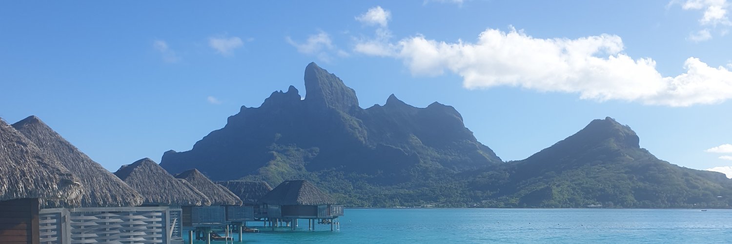 Stephanie Bazeley banner