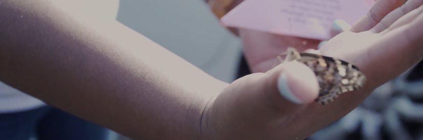 chasdixon83's profile banner image