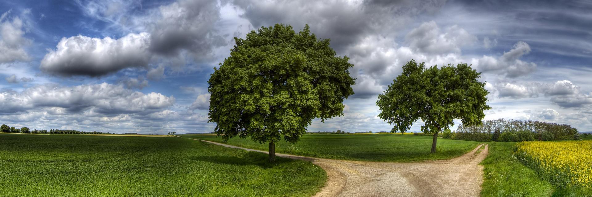 austineoparah's profile banner image