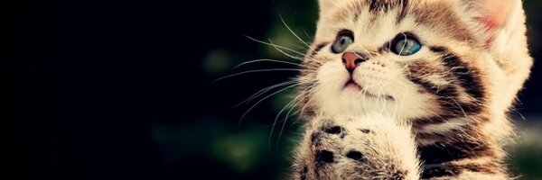 RizkaaSR Profile Banner