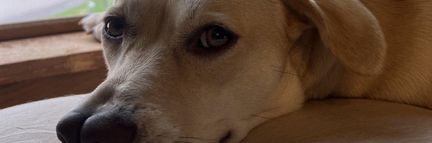 colleencutting's profile banner image
