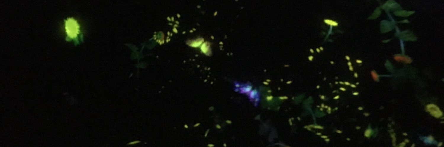 yt7_1's profile banner image