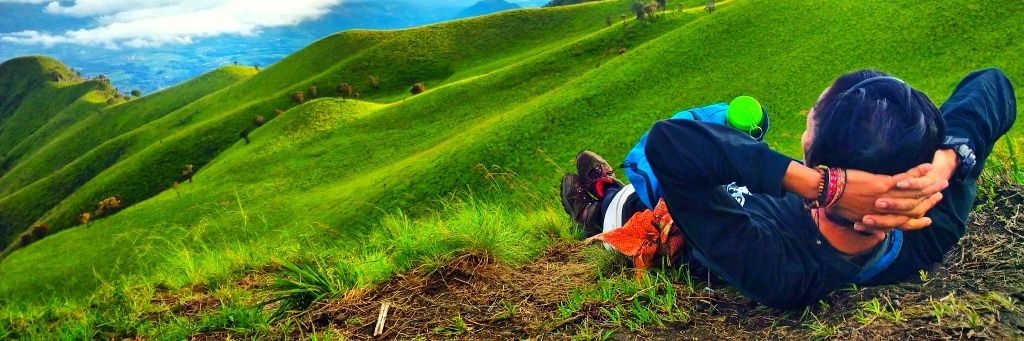 ba_herba's profile banner image