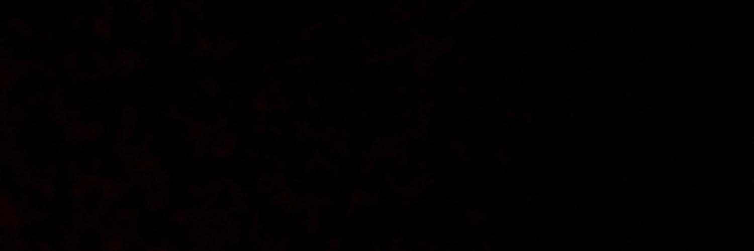 18Deviana's profile banner image