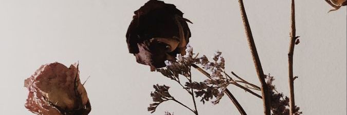 whoismonts's profile banner image