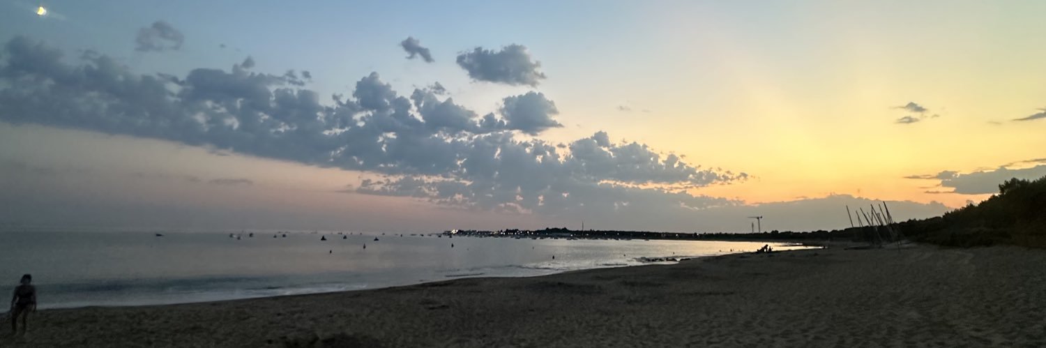 manonnicolee's profile banner image