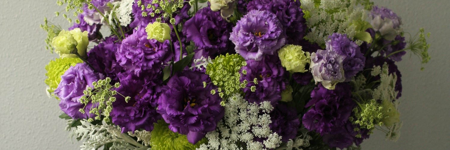 eflora_official's profile banner image
