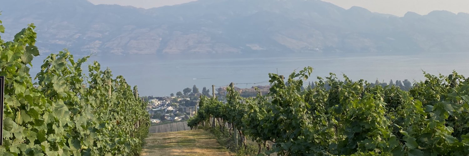 CabernetFrk's profile banner image