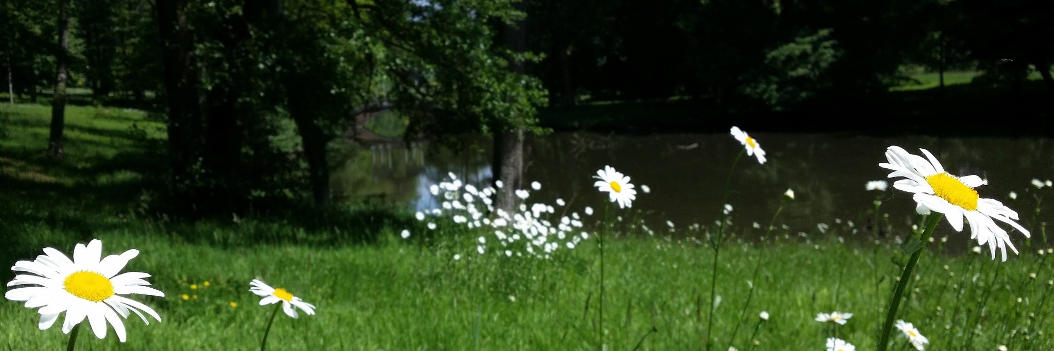 piepoupou's profile banner image