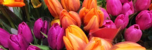 MtneerChick Profile Banner