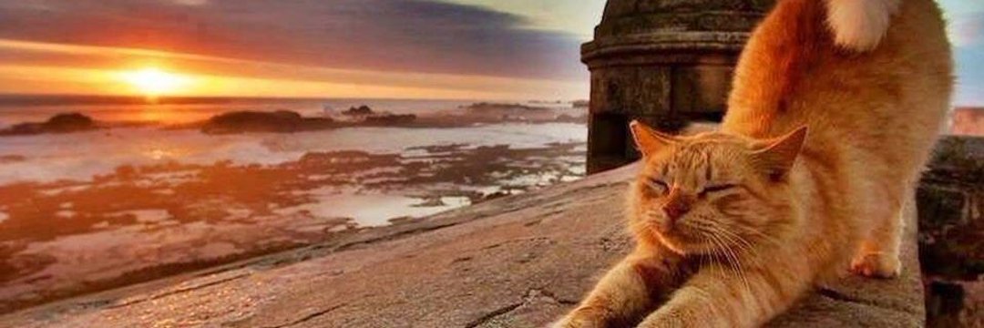 ayemcem's profile banner image