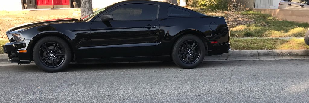 whatupbee_'s profile banner image