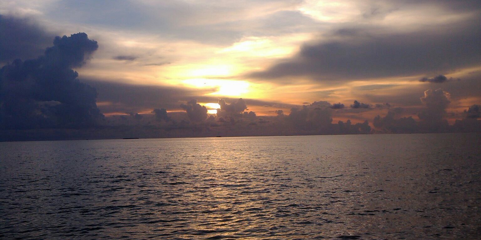 Novia_Ariantii's profile banner image