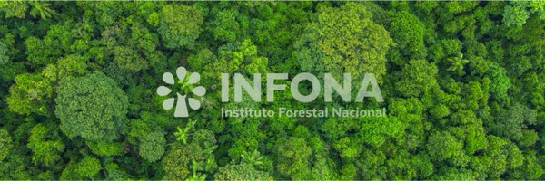 InfonaPy Profile Banner