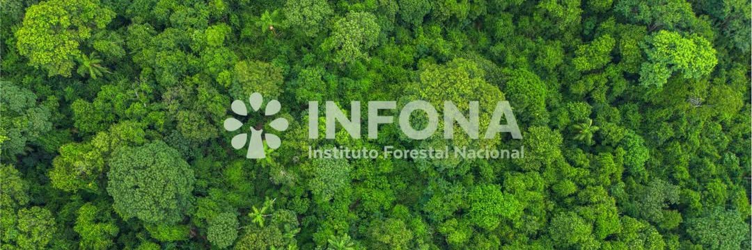 Instituto Forestal Nacional del Paraguay banner