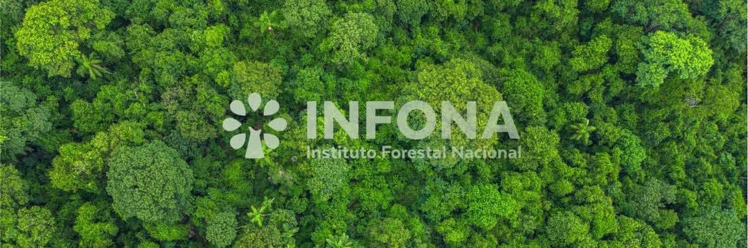 InfonaPy's profile banner image