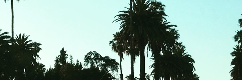 Angela Schmidt banner