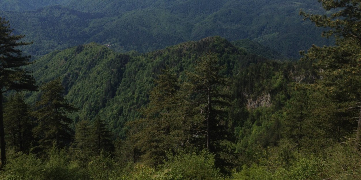 worldeu's profile banner image