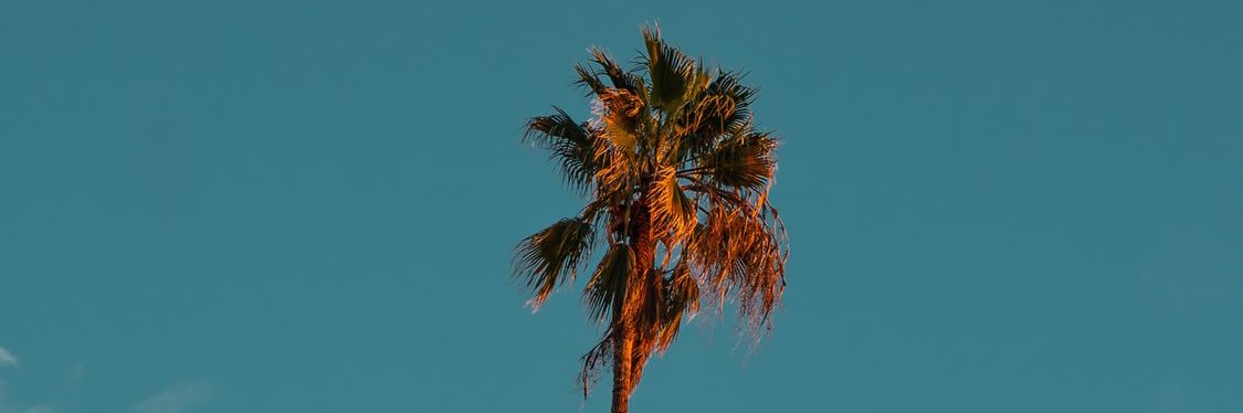 SaktyoAD's profile banner image