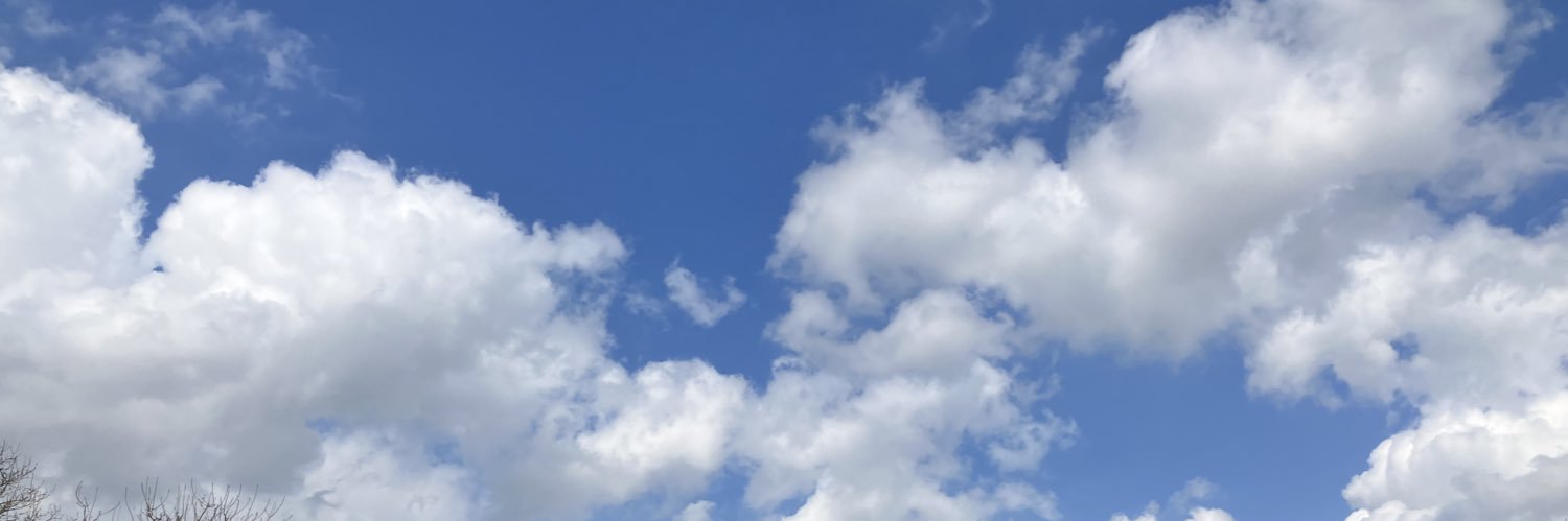 じゃがいも banner