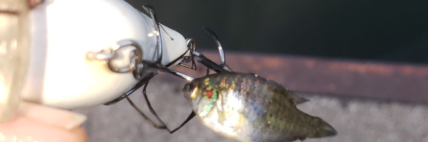 REC_Jim's profile banner image