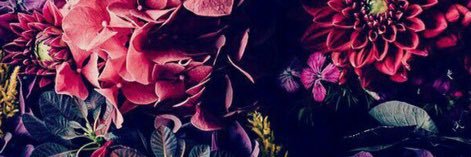 pigdaddybakin's profile banner image