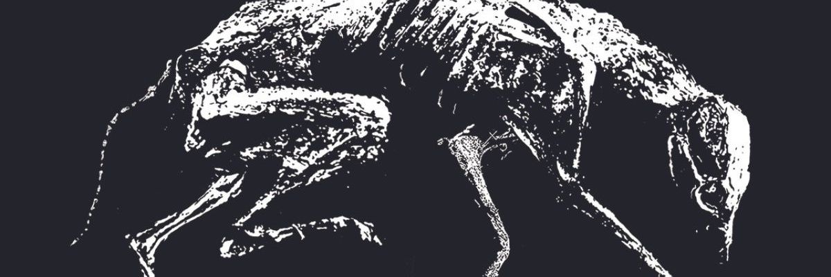 mentholvomit's profile banner image