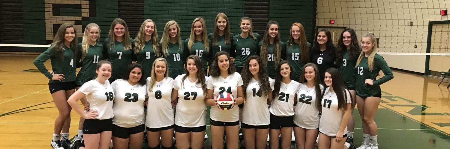 Ridley Volleyball banner