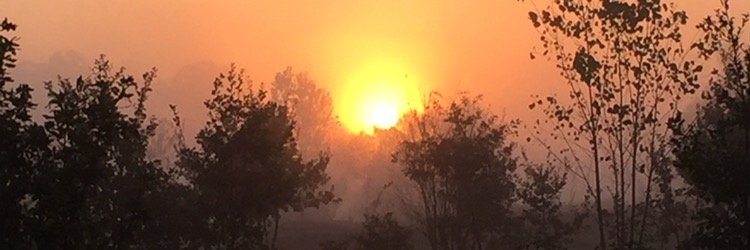 YanBaudoux's profile banner image