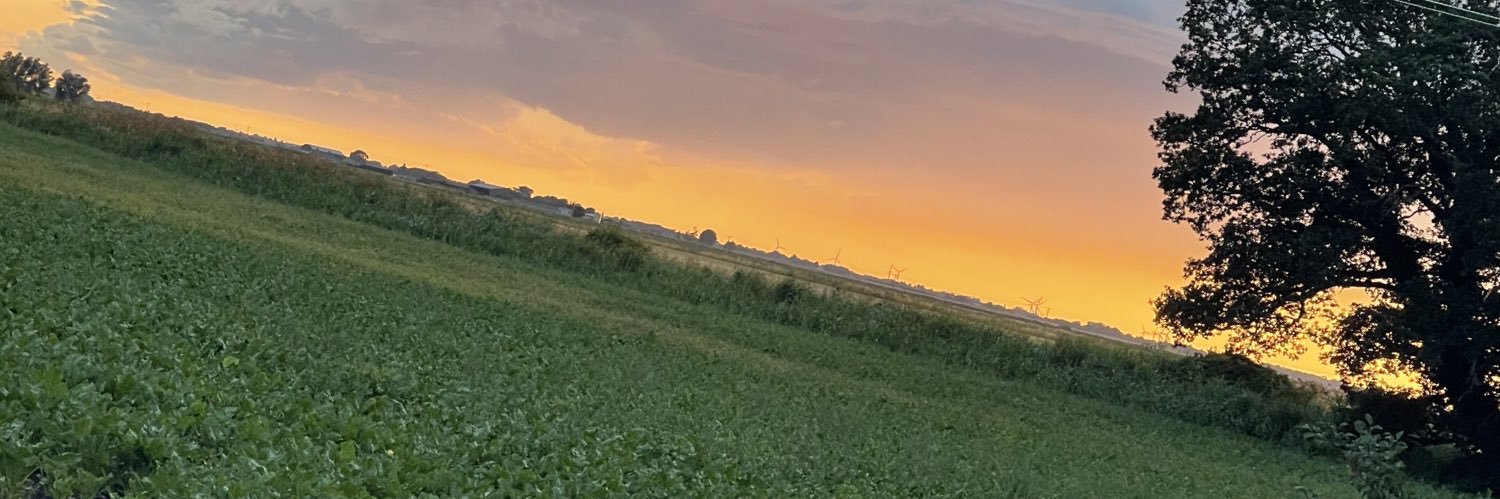 LittleHuskyBear's profile banner image