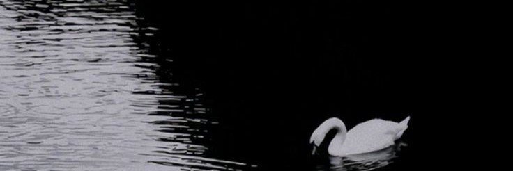 othreside's profile banner image