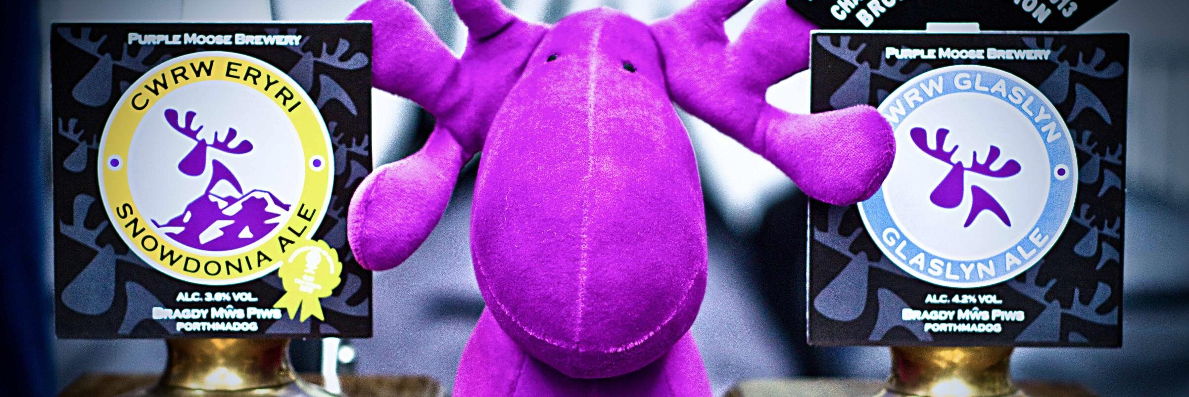 PurpleMooseLady's profile banner image