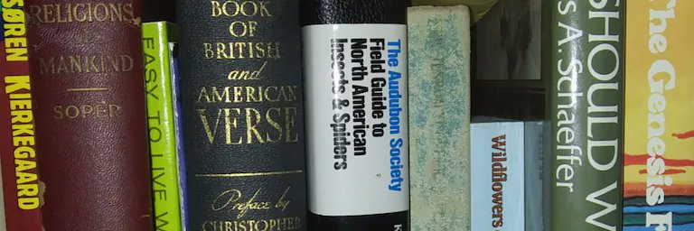 hayhook's profile banner image