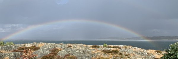 Ingela_B Profile Banner