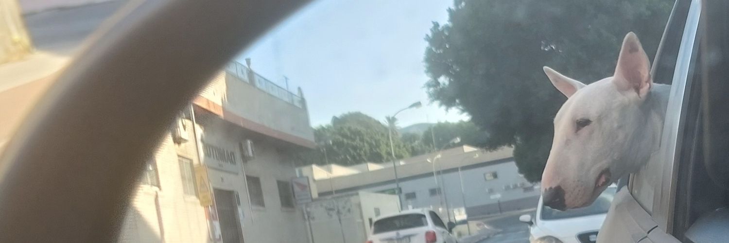 snchzprds's profile banner image
