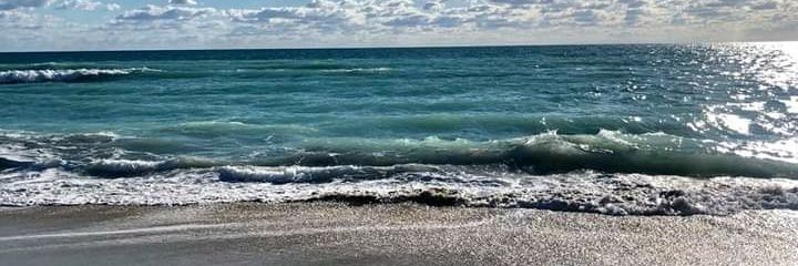 castro_arruda's profile banner image